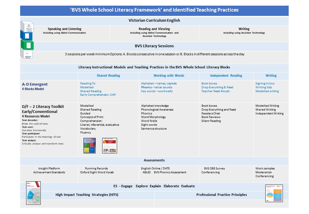 BVS Literacy Framework